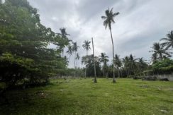 WhatsApp Image 2026-02-03 at 4.24.46 PM (3)