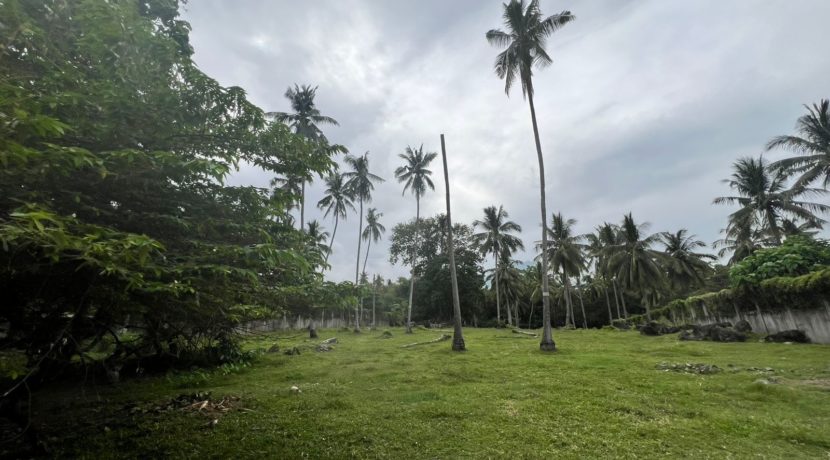 WhatsApp Image 2026-02-03 at 4.24.46 PM (3)