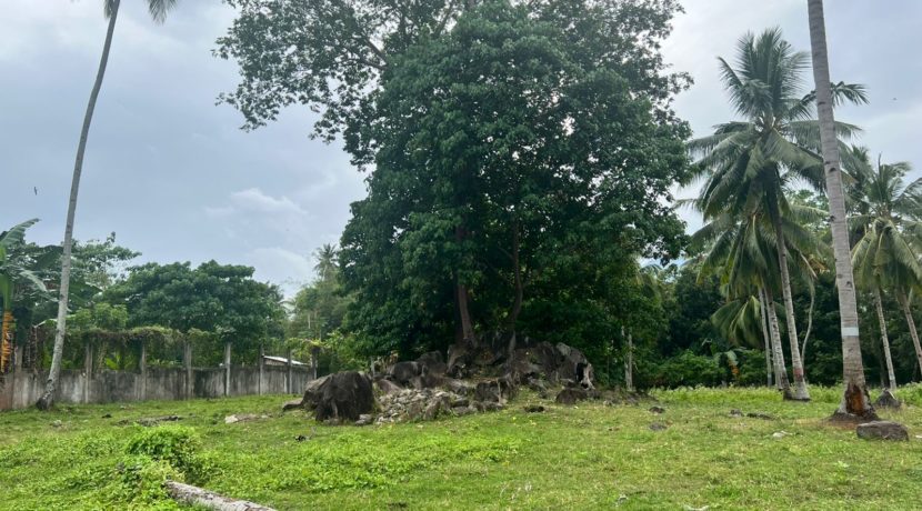 WhatsApp Image 2026-02-03 at 4.24.46 PM