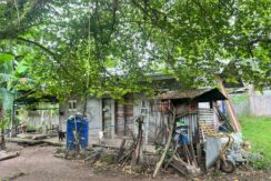 WhatsApp Image 2026-02-03 at 4.24.47 PM (2)