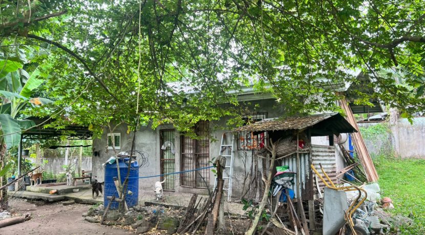 WhatsApp Image 2026-02-03 at 4.24.47 PM (2)