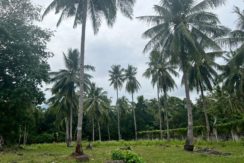 WhatsApp Image 2026-02-03 at 4.24.47 PM