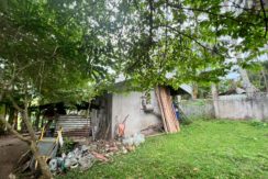 WhatsApp Image 2026-02-03 at 4.24.47 PM (3)