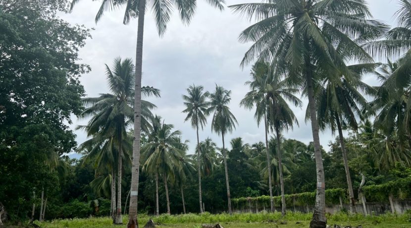 WhatsApp Image 2026-02-03 at 4.24.47 PM