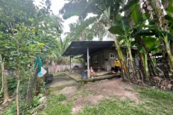 WhatsApp Image 2026-02-03 at 4.24.48 PM (1)