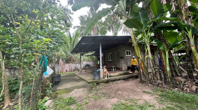 WhatsApp Image 2026-02-03 at 4.24.48 PM (1)