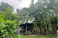 WhatsApp Image 2026-02-03 at 4.24.48 PM (2)