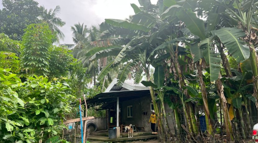 WhatsApp Image 2026-02-03 at 4.24.48 PM (2)