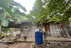 WhatsApp Image 2026-02-03 at 4.24.48 PM