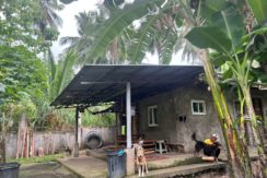 WhatsApp Image 2026-02-03 at 4.24.48 PM (3)