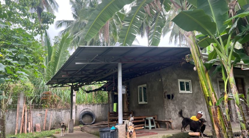 WhatsApp Image 2026-02-03 at 4.24.48 PM (3)