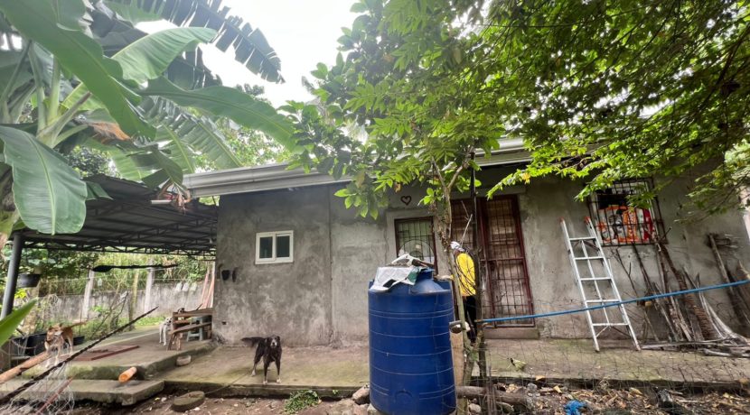 WhatsApp Image 2026-02-03 at 4.24.48 PM