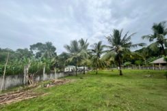 WhatsApp Image 2026-02-03 at 4.24.49 PM (1)