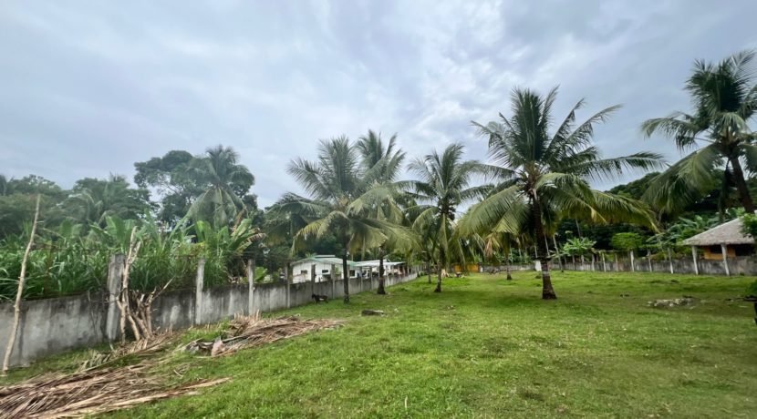 WhatsApp Image 2026-02-03 at 4.24.49 PM (1)