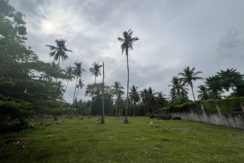 WhatsApp Image 2026-02-03 at 4.24.49 PM (2)