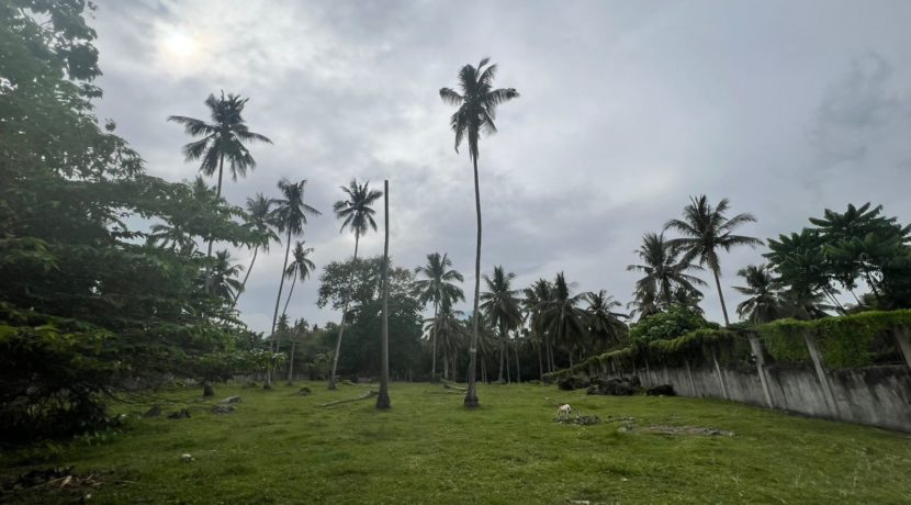 WhatsApp Image 2026-02-03 at 4.24.49 PM (2)