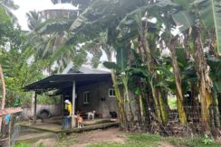 WhatsApp Image 2026-02-03 at 4.24.49 PM