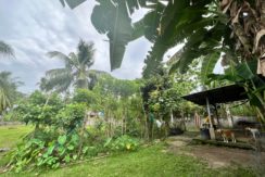 WhatsApp Image 2026-02-03 at 4.24.49 PM (3)