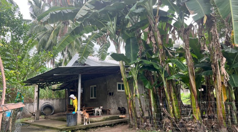 WhatsApp Image 2026-02-03 at 4.24.49 PM