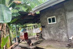 WhatsApp Image 2026-02-03 at 4.24.50 PM (1)