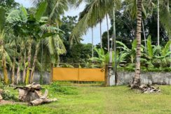 WhatsApp Image 2026-02-03 at 4.24.50 PM (2)