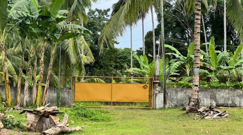 WhatsApp Image 2026-02-03 at 4.24.50 PM (2)