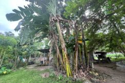 WhatsApp Image 2026-02-03 at 4.24.50 PM