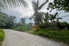 WhatsApp Image 2026-02-03 at 4.24.50 PM (4)