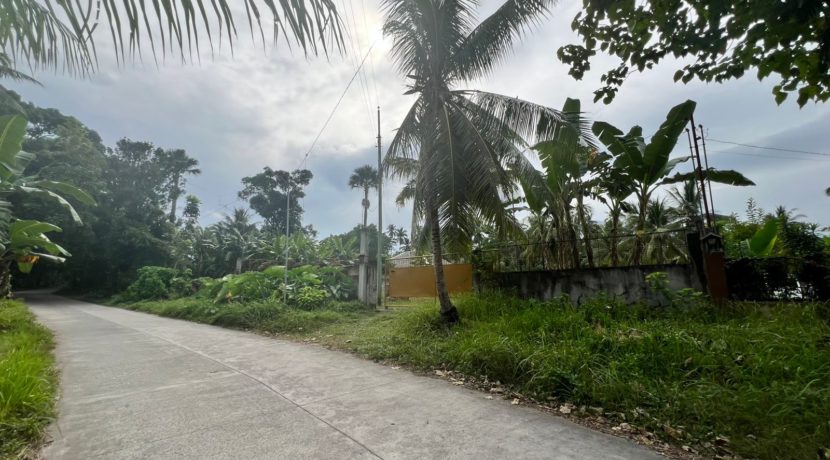 WhatsApp Image 2026-02-03 at 4.24.50 PM (4)