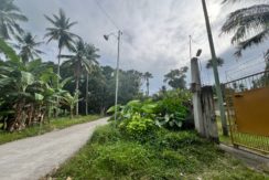 WhatsApp Image 2026-02-03 at 4.24.51 PM (1)