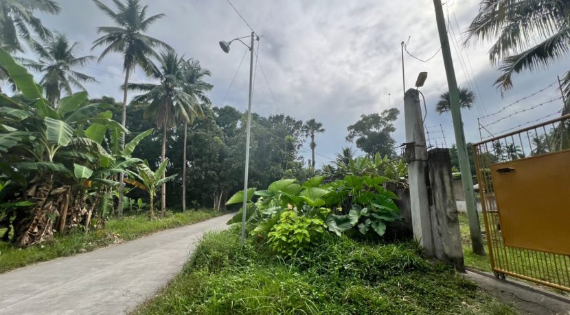 WhatsApp Image 2026-02-03 at 4.24.51 PM (1)