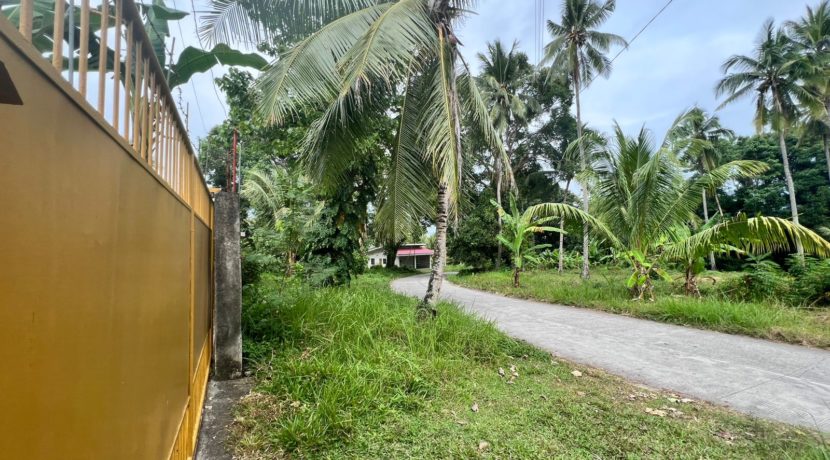 WhatsApp Image 2026-02-03 at 4.24.51 PM (2)