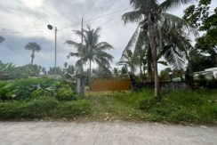 WhatsApp Image 2026-02-03 at 4.24.51 PM