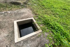 WhatsApp Image 2026-02-03 at 4.24.51 PM (3)