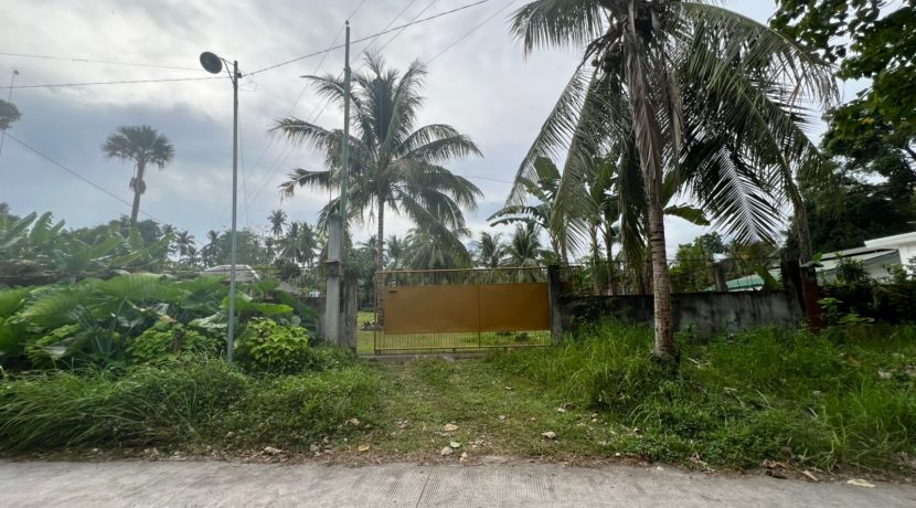 WhatsApp Image 2026-02-03 at 4.24.51 PM