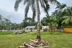 WhatsApp Image 2026-02-03 at 4.24.52 PM (1)