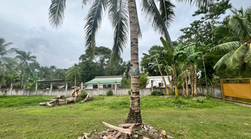 WhatsApp Image 2026-02-03 at 4.24.52 PM (1)