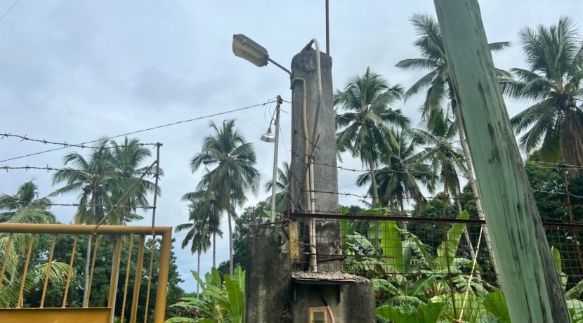 WhatsApp Image 2026-02-03 at 4.24.52 PM (2)