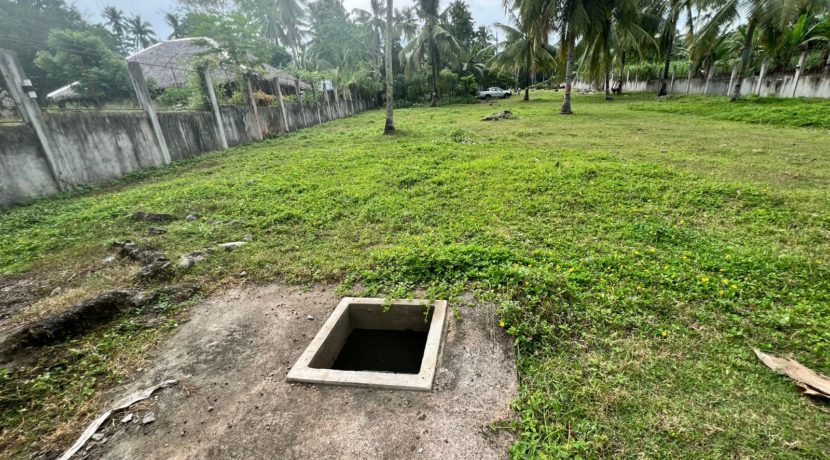 WhatsApp Image 2026-02-03 at 4.24.52 PM