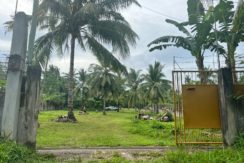 WhatsApp Image 2026-02-03 at 4.24.53 PM (1)