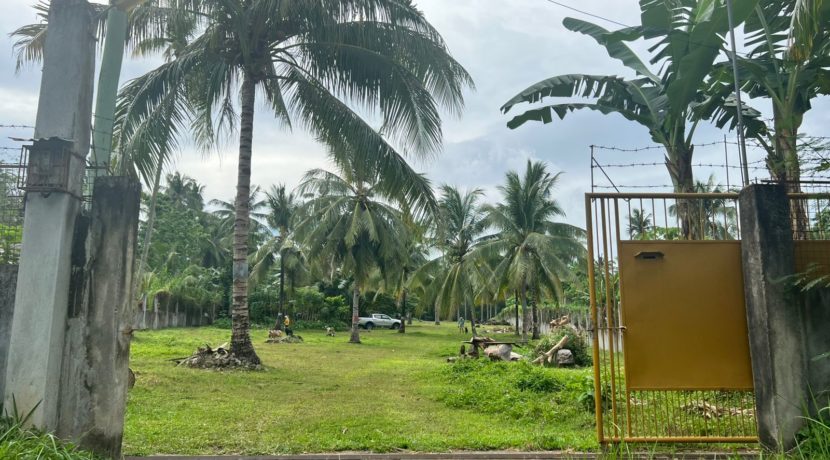 WhatsApp Image 2026-02-03 at 4.24.53 PM (1)