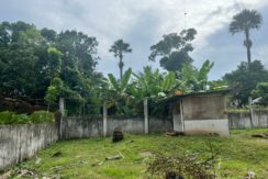 WhatsApp Image 2026-02-03 at 4.24.53 PM (2)