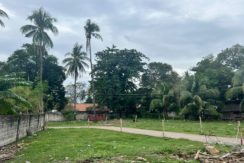 WhatsApp Image 2026-02-03 at 4.24.53 PM