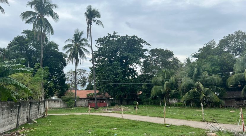 WhatsApp Image 2026-02-03 at 4.24.53 PM