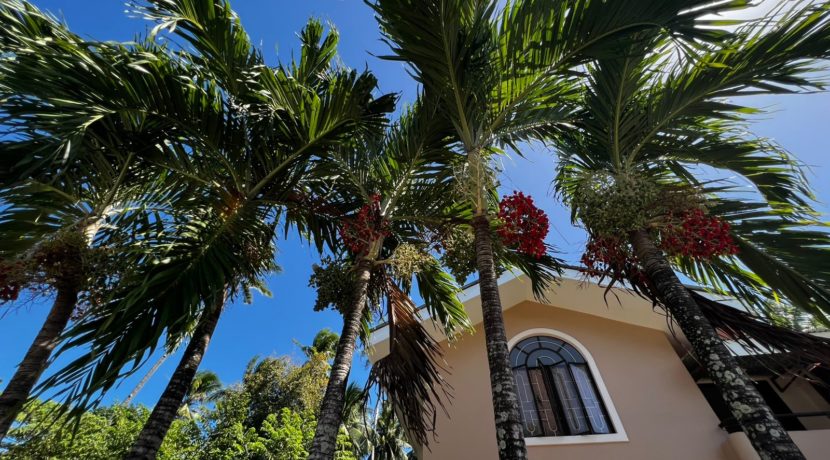 WhatsApp Image 2026-02-16 at 3.38.50 PM