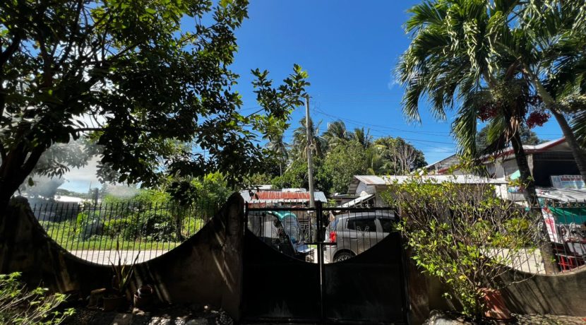 WhatsApp Image 2026-02-16 at 3.38.52 PM (3)