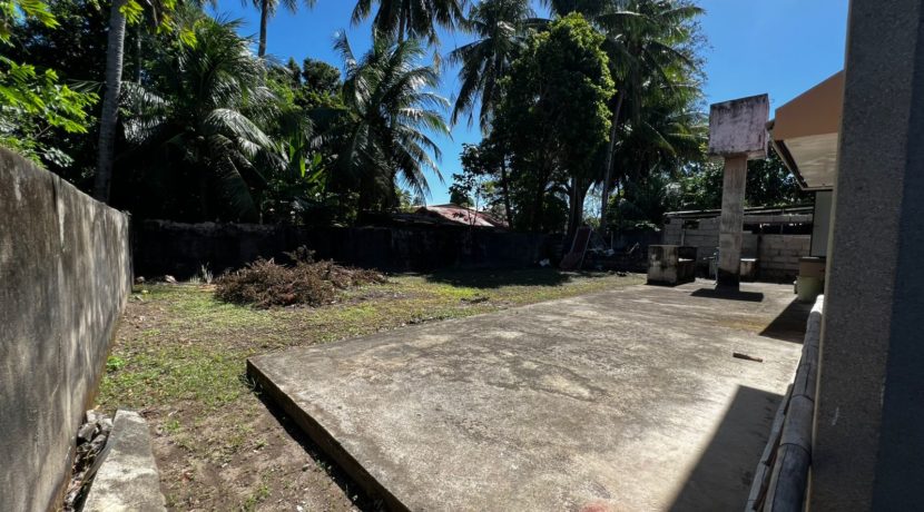 WhatsApp Image 2026-02-16 at 3.38.54 PM (3)