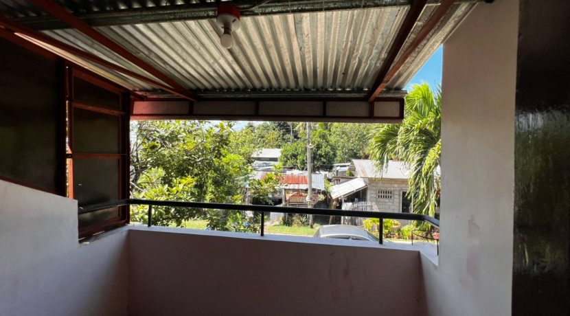 WhatsApp Image 2026-02-16 at 3.38.56 PM (3)