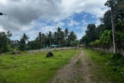 WhatsApp Image 2026-02-18 at 10.47.10 AM