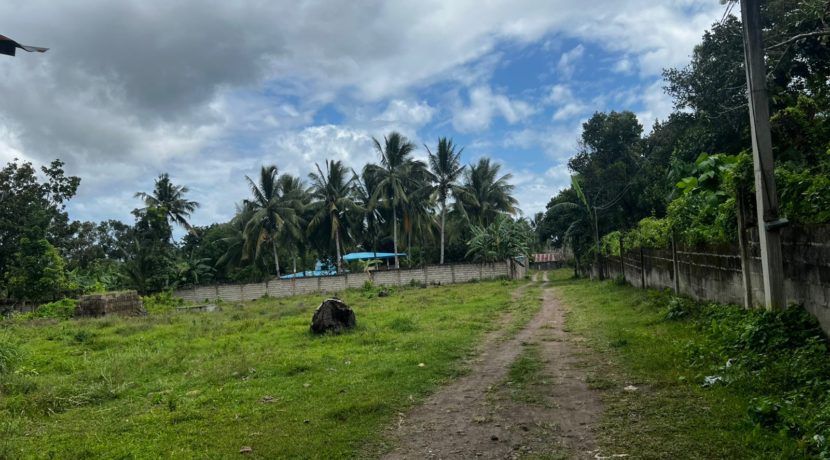 WhatsApp Image 2026-02-18 at 10.47.10 AM